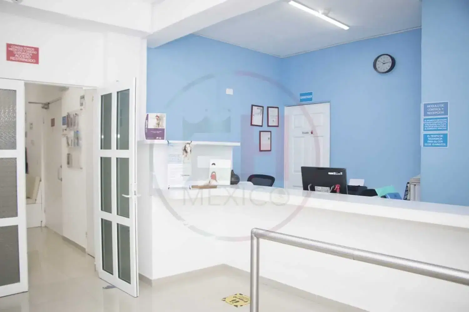 Esthetic Hair Mexico